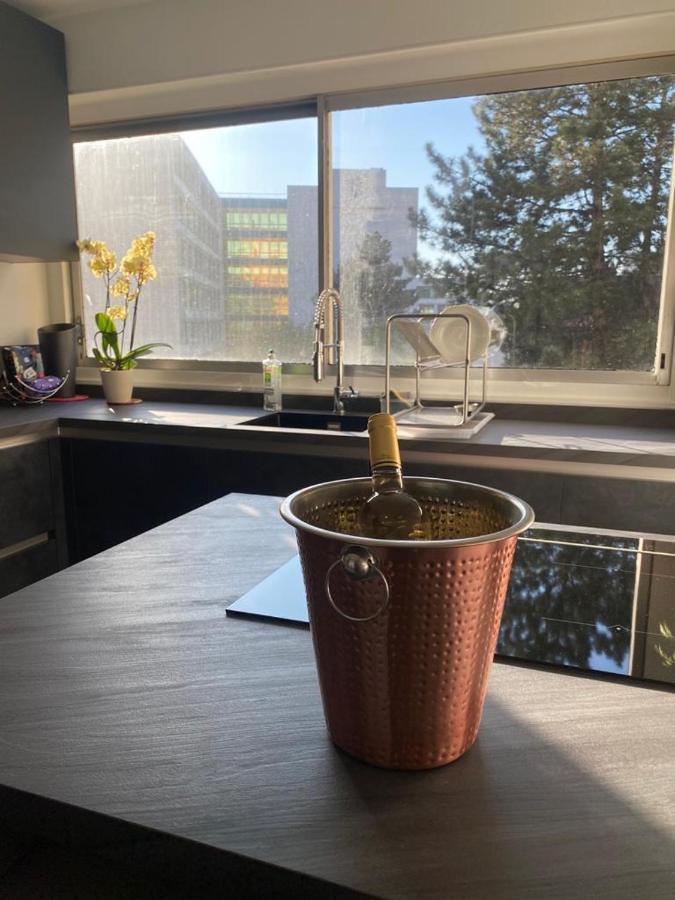 Logement Entier+ Jardin Prive Et Parking 2Places Rouen Eksteriør bilde